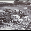 boyinafieldofcorpses avatar