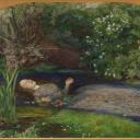 boyinapeatbog avatar