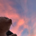 boylepastayapmayinerdenogrendin avatar