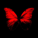 boyoutofglass avatar