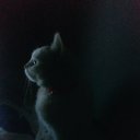 boyyillusions avatar