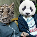 bozeczytytowidzisz avatar