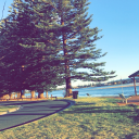 bpd-and-myself avatar