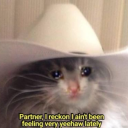 br00keishere-blog avatar