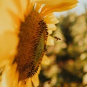 br3aking-g00d avatar