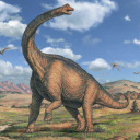 brachiosaurus-official avatar