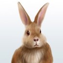 bradshawccfinds avatar