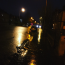 braeking-points avatar