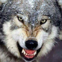 brahimguendouzs-world avatar