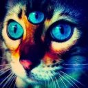 brahman-god-oceanofloveagain avatar