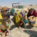 brahmsthirdracket avatar