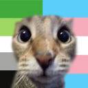 braincloggedwithcats avatar