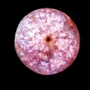 braindeactivated avatar