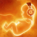 brainonn-blog avatar