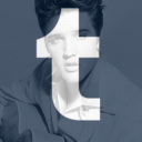 brainrot-elvis avatar