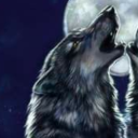 brainrot-stitch avatar