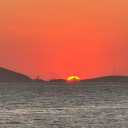 brainrotofallkinds avatar