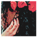 brainsnbeauty avatar