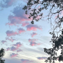 brainvomitintheparkinglot avatar