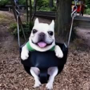 brainworms4spn avatar