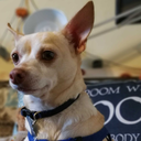 brainyboricua avatar