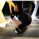 bramble-on-soul avatar