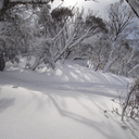 brams-medical-tutorials avatar