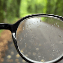 branchfromroots avatar