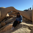 brandnewthought avatar