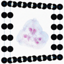 brandon-fernandez avatar