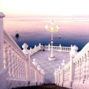 brantyorkphotography avatar