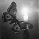 brassaiart-blog avatar