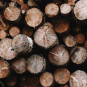 brave-little-star avatar