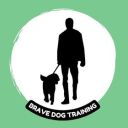 bravedogtraining avatar