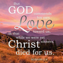 braveheart-princess avatar