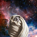 bravelovecitrus avatar