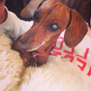 braveryintransit avatar