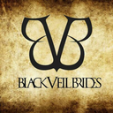 brayanbiersack888 avatar