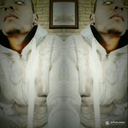 braydilz avatar