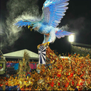 braziliancarnival avatar