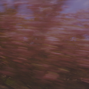 brbfreakingout avatar