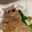 bread-fanblog avatar