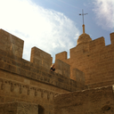 breadbreadbreadloveit avatar