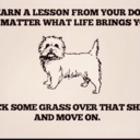 breadedboathattruckman avatar