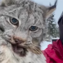 breadsandwishes avatar