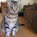 breadthesecond avatar