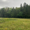 bready-steady avatar