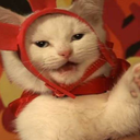 break-fuck-kill avatar