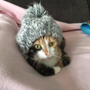 break-these-clocks avatar