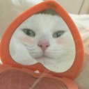 breakfast-gal avatar